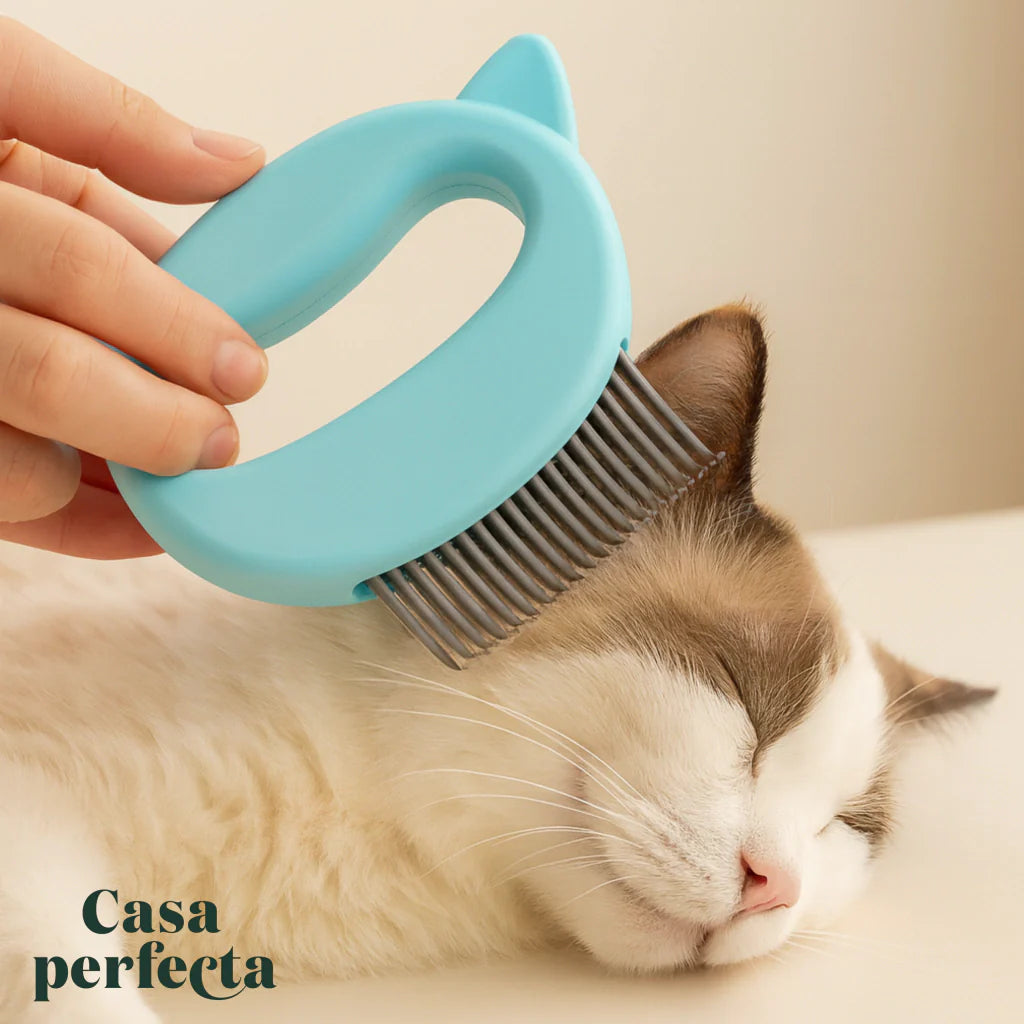 Escova Arranhadora Interativa para Gatos